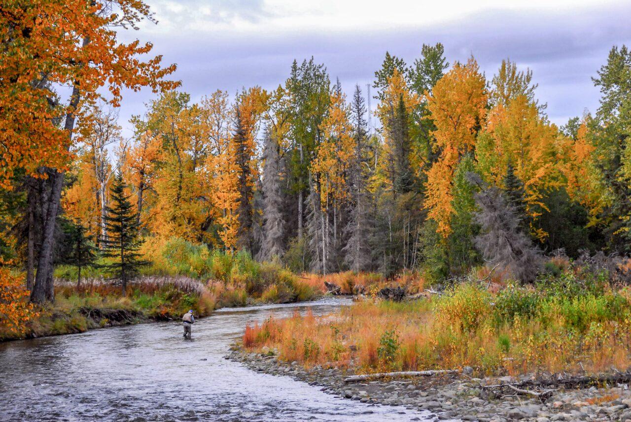 Fall day on the river