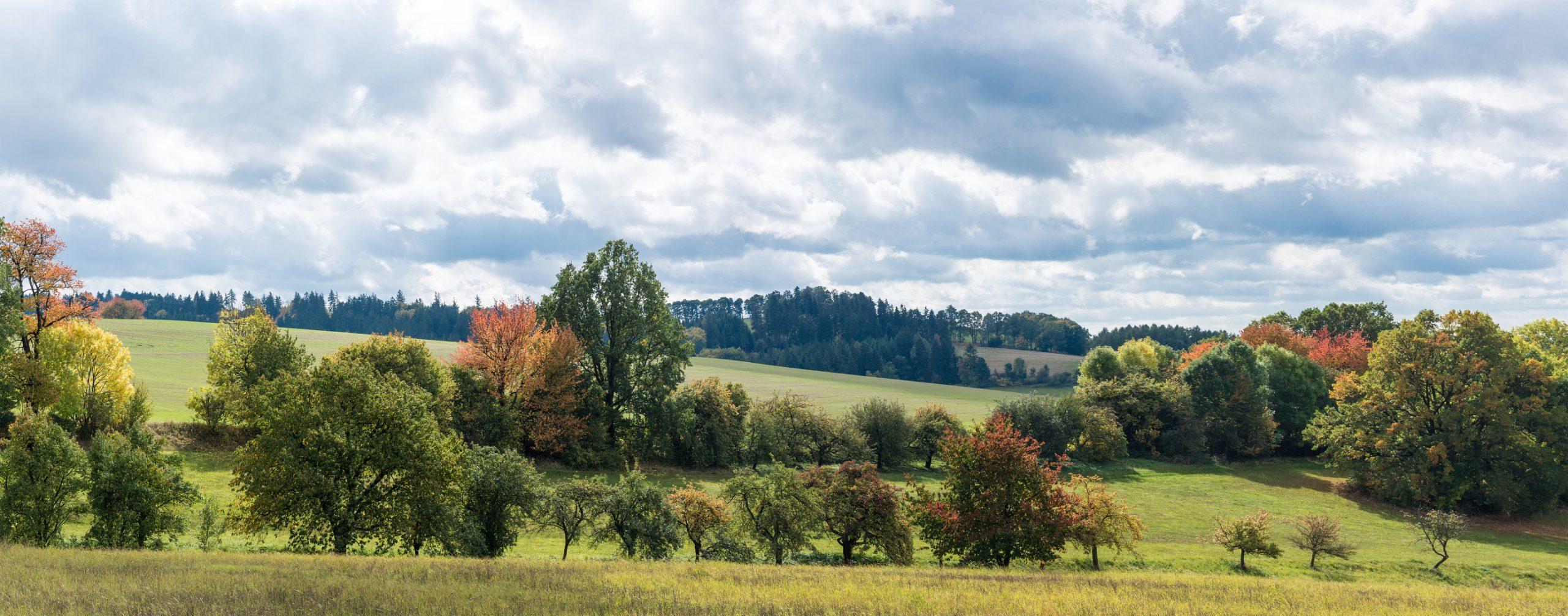 Mountain landscape
