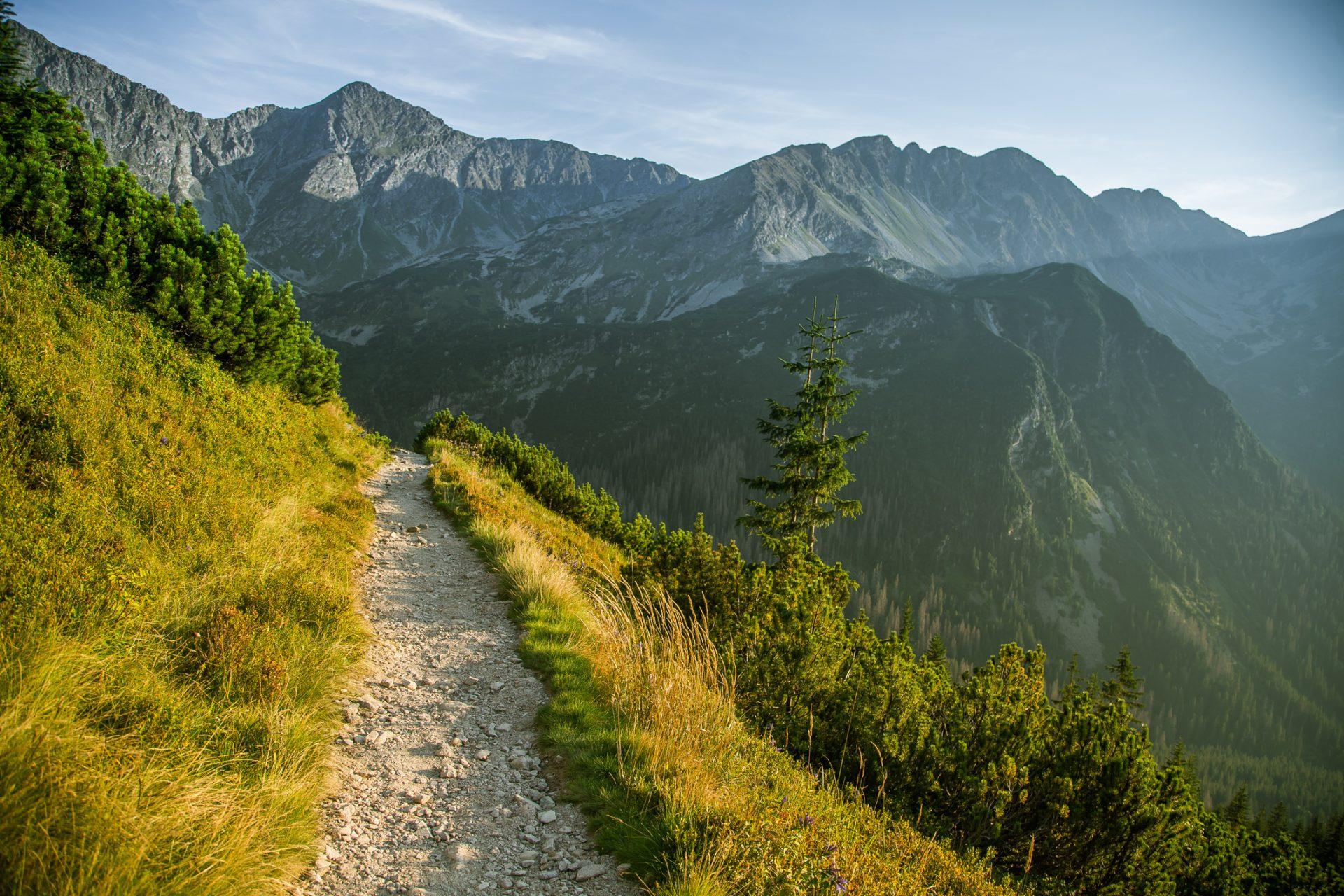 Mountain trail winding downhill through alpine landscape