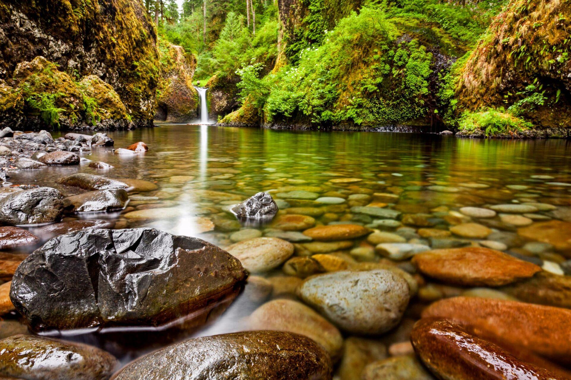 Crystal clear creek with pebbles at Punch Bowl Falls
