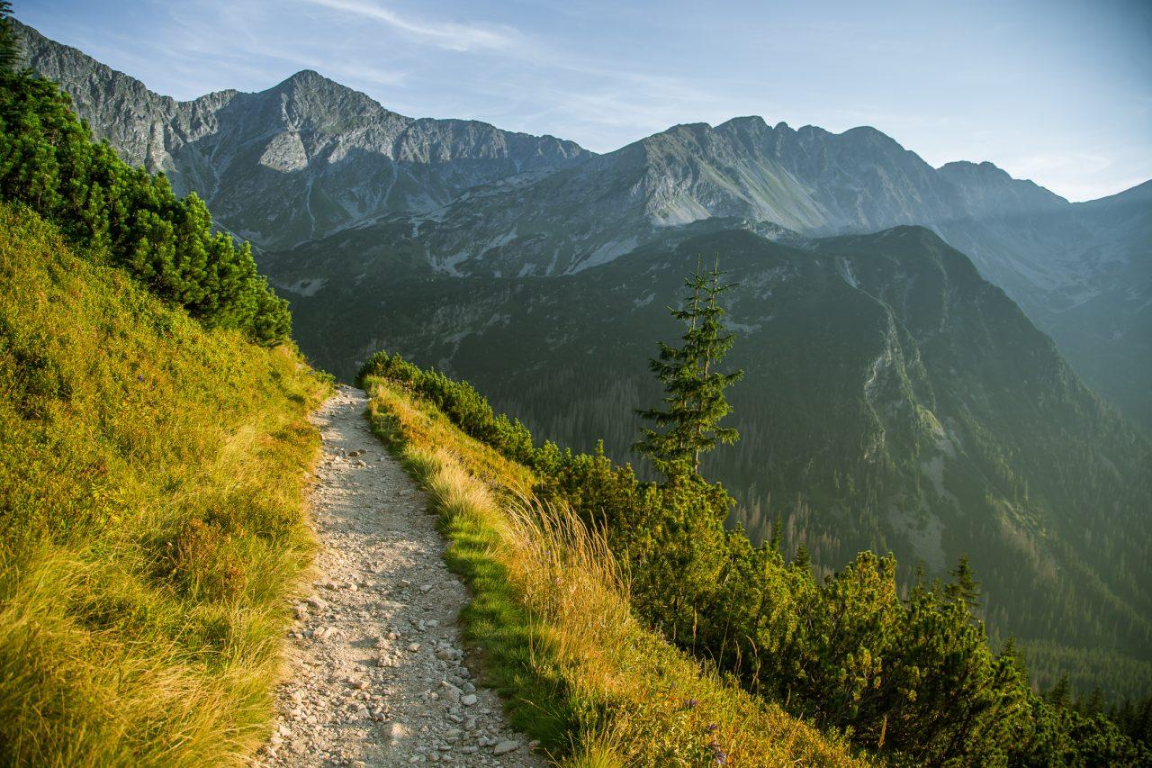 Succession Planning: The CEO's Guide to the Future